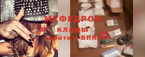 индика Медвежьегорск