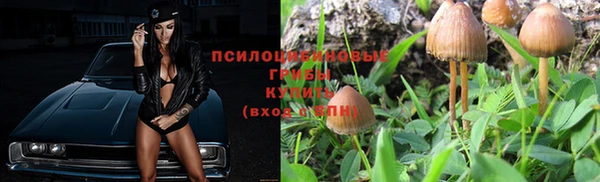 индика Медвежьегорск