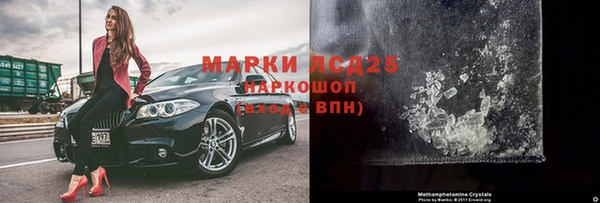 индика Медвежьегорск