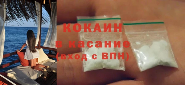 индика Медвежьегорск