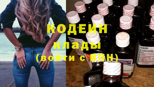 индика Медвежьегорск