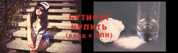 индика Медвежьегорск