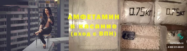 индика Медвежьегорск
