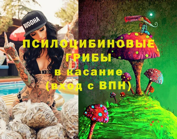 сатива Верхний Тагил