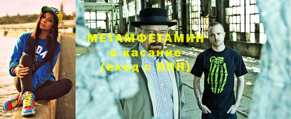индика Медвежьегорск