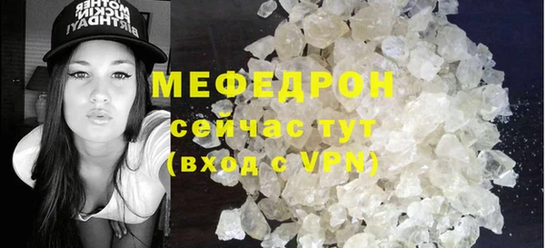 индика Медвежьегорск