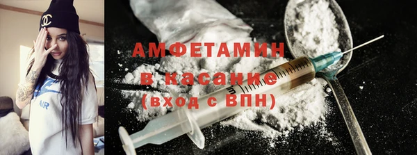 индика Медвежьегорск