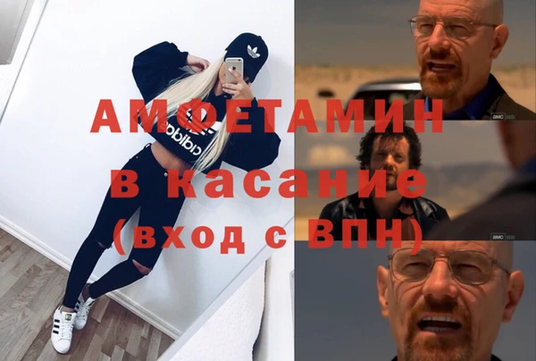 сатива Верхний Тагил